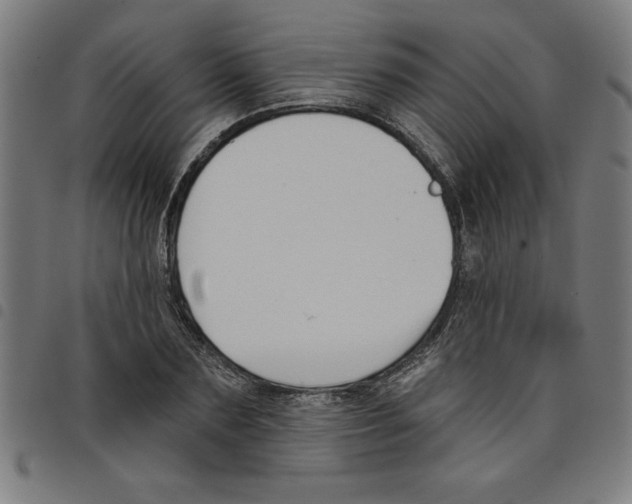 X0000098050883200804251101