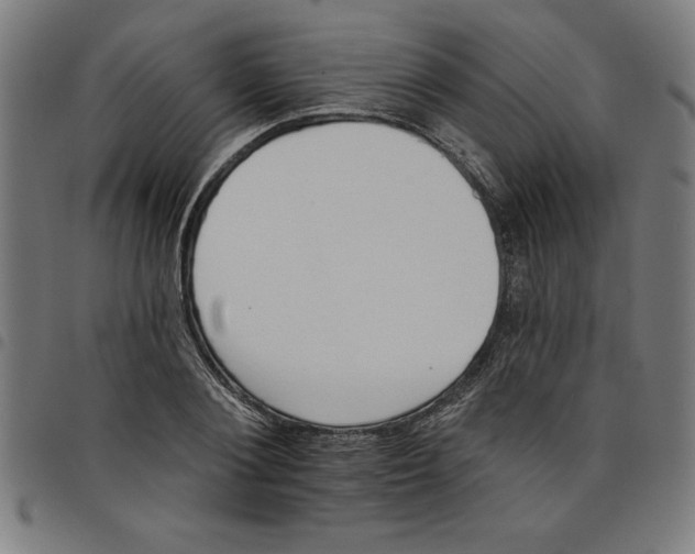 X0000098050884200804251101