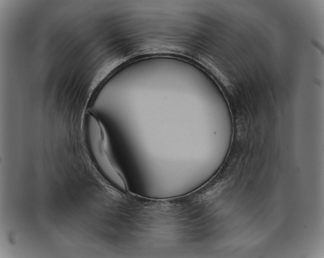 X0000098050885200804251101