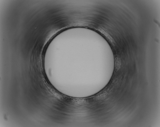 X0000098050886200804251101