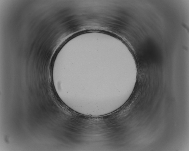 X0000098050887200804251101