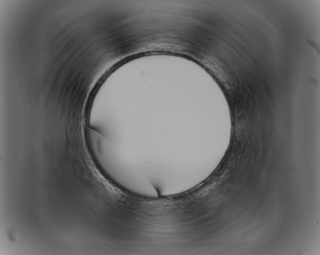 X0000098050888200804251101