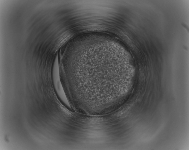 X0000098050889200804251101