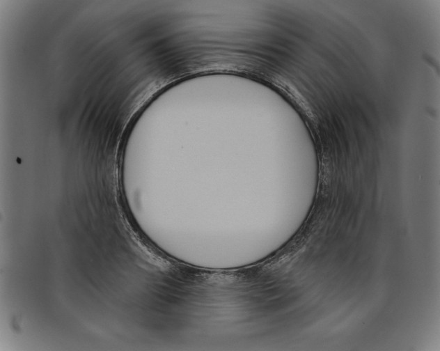 X0000098050890200804251101