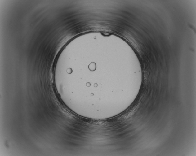 X0000098050891200804251101