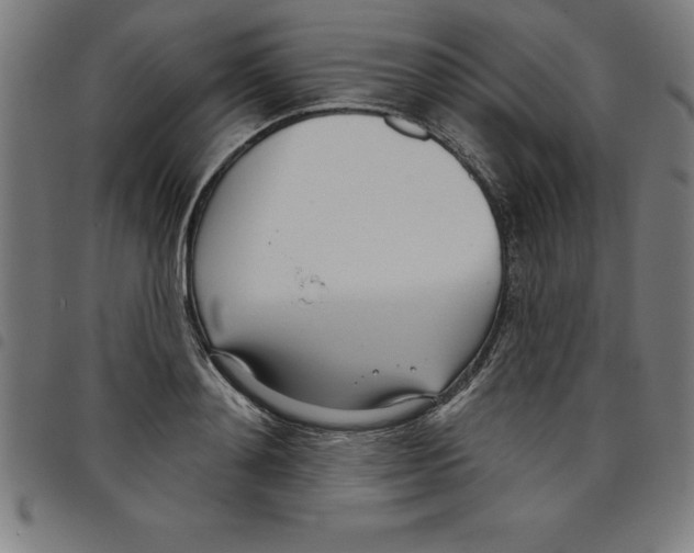 X0000098050892200804251101