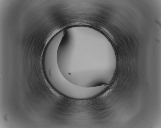 X0000098050893200804251101