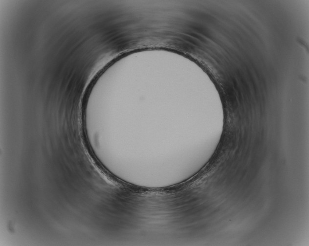 X0000098050894200804251101