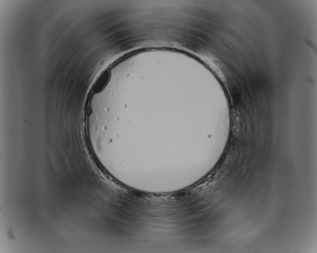 X0000098050895200804251101