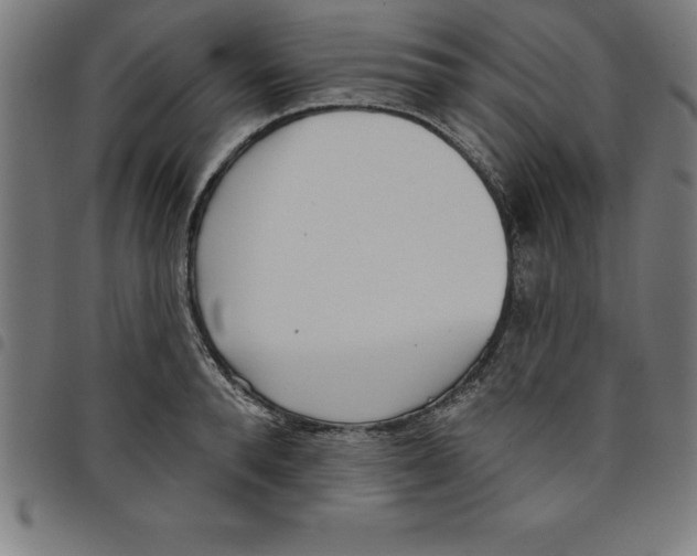 X0000098050896200804251101