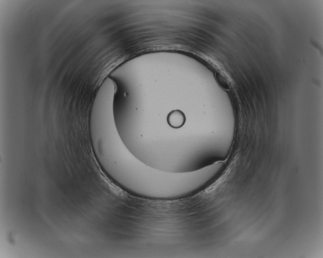 X0000098050897200804251101