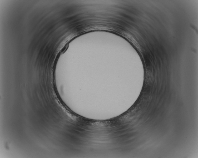 X0000098050898200804251101