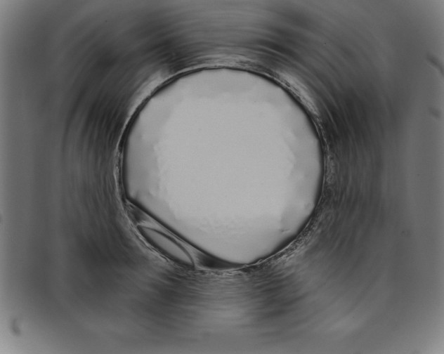 X0000098050899200804251101