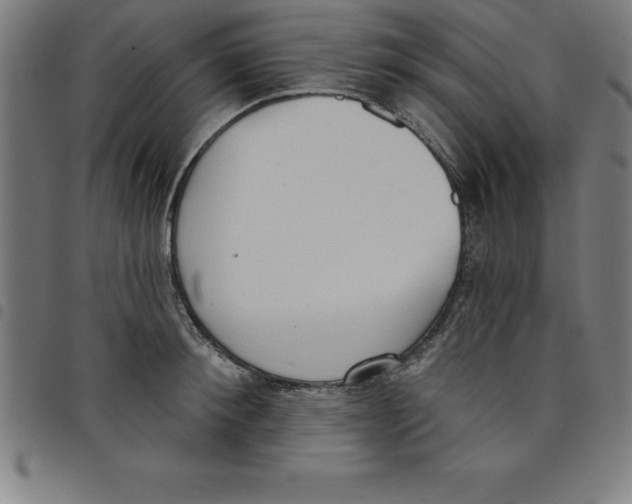 X0000098050900200804251101