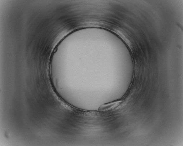 X0000098050901200804251101