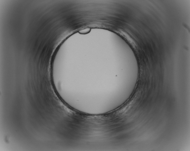 X0000098050902200804251101