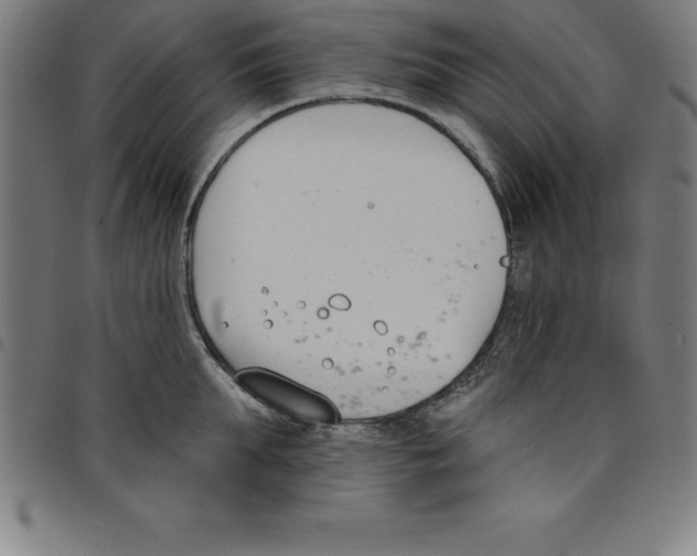 X0000098050903200804251101