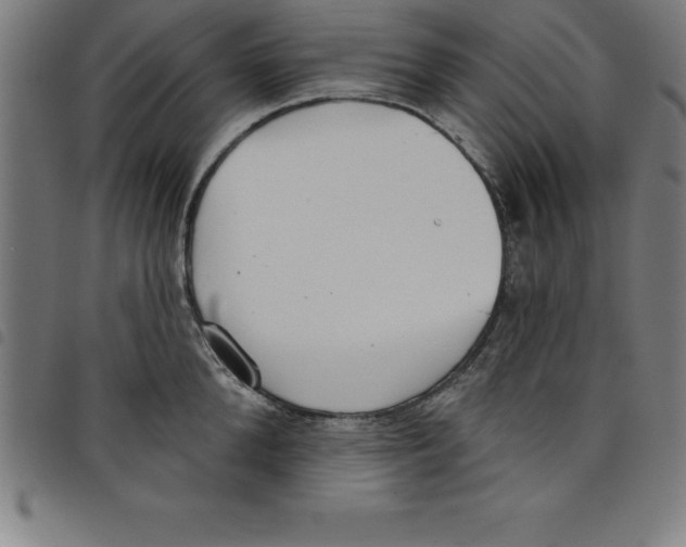 X0000098050904200804251101