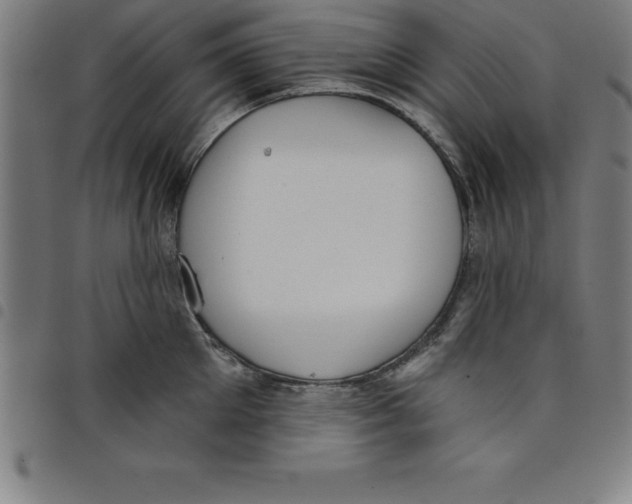 X0000098050905200804251101