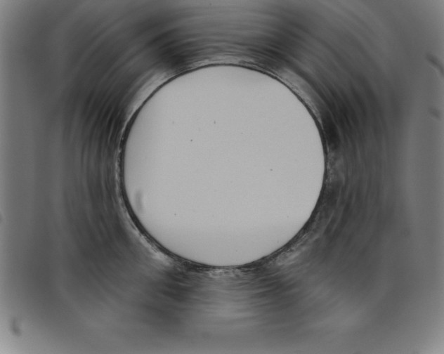 X0000098050906200804251101