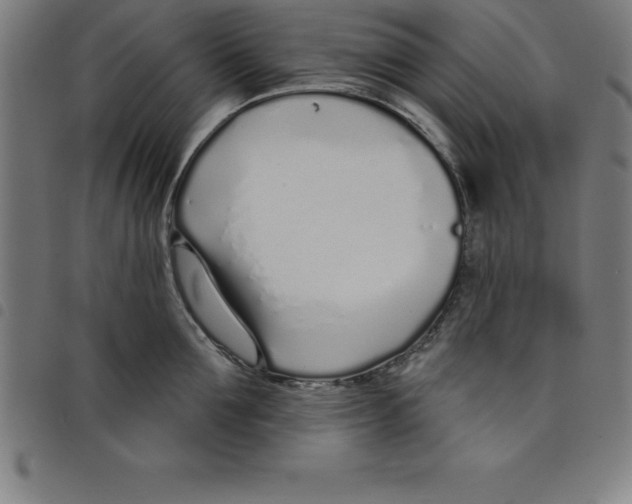 X0000098050907200804251101