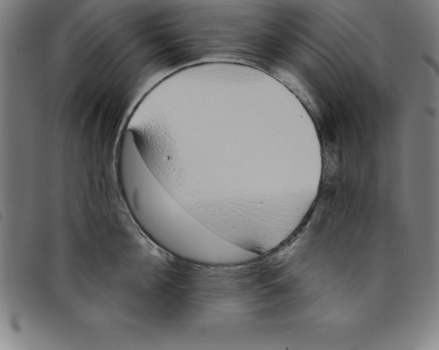 X0000098050908200804251101