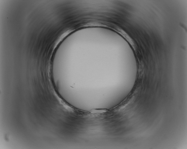 X0000098050909200804251101