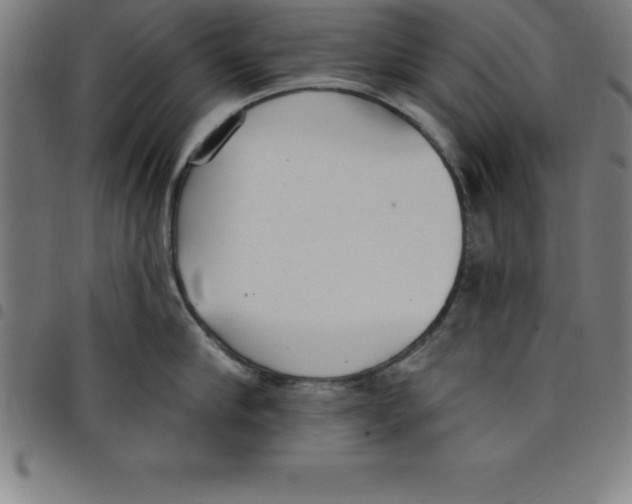 X0000098050910200804251101