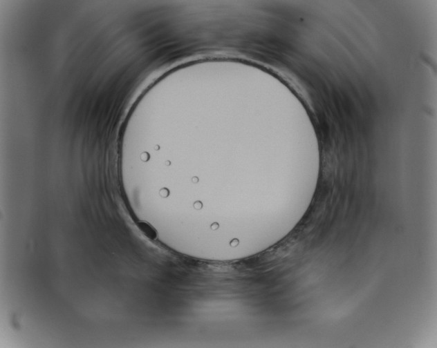 X0000098050911200804251101