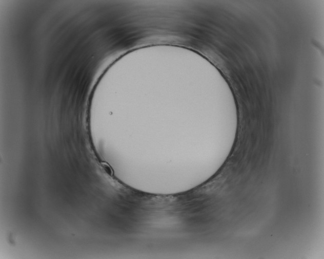 X0000098050912200804251101