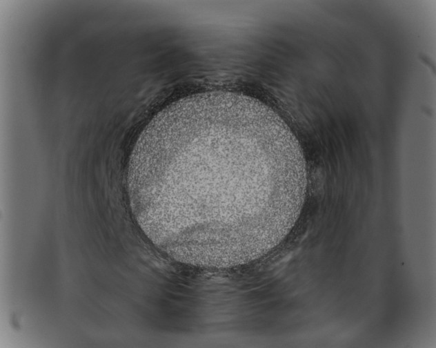 X0000098050913200804251100