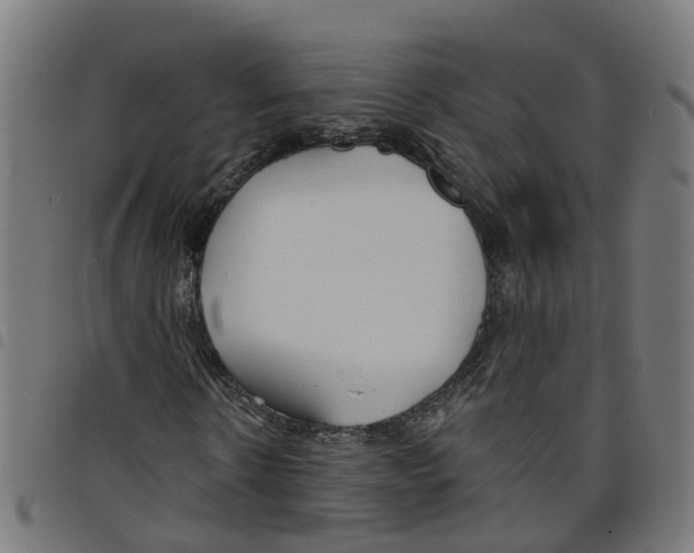 X0000098050914200804251100