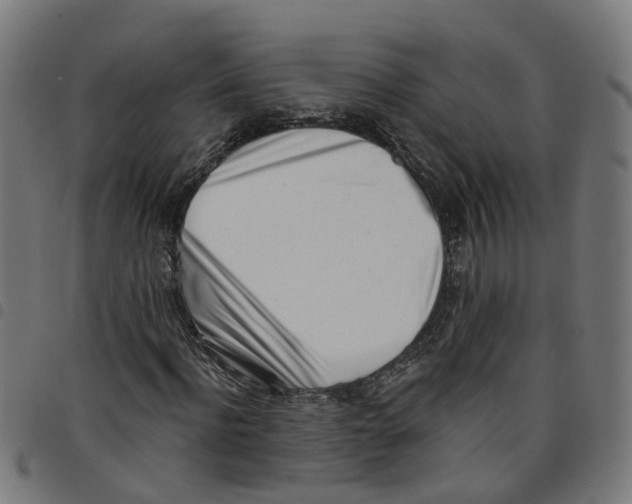 X0000098050916200804251100