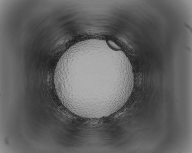 X0000098050917200804251100