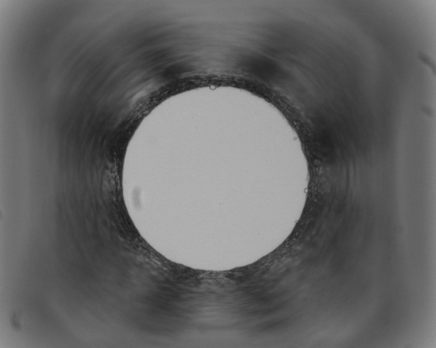 X0000098050918200804251100