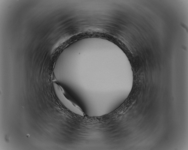 X0000098050919200804251100