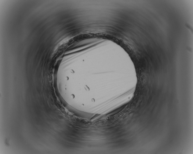 X0000098050920200804251100