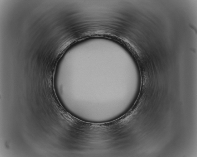 X0000098050921200804251100