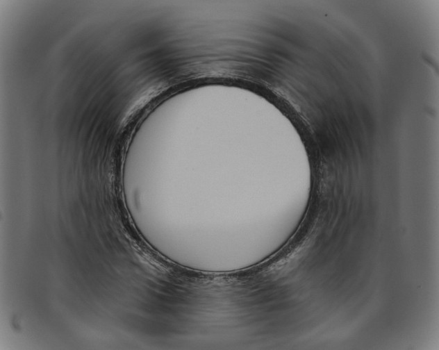 X0000098050922200804251100