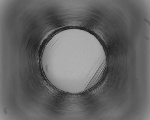 X0000098050923200804251100