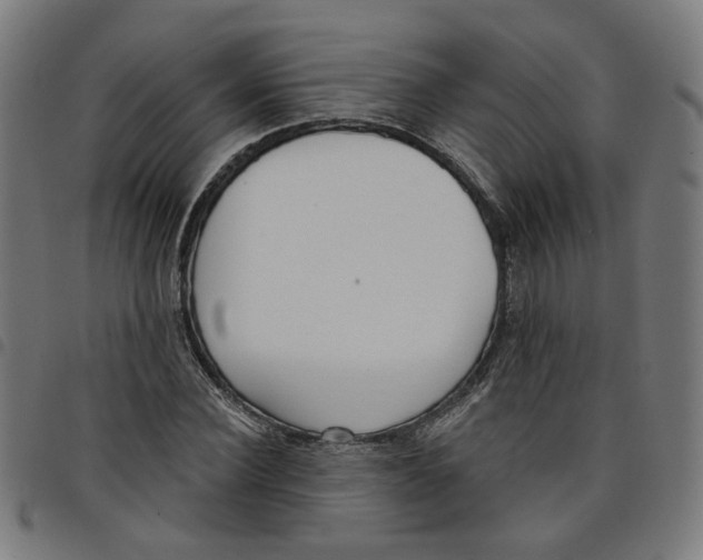 X0000098050924200804251100