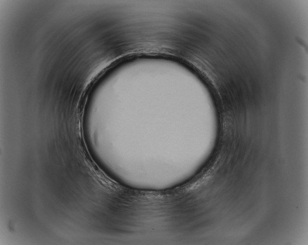 X0000098050925200804251100