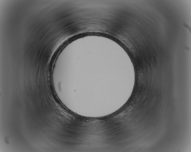 X0000098050926200804251100