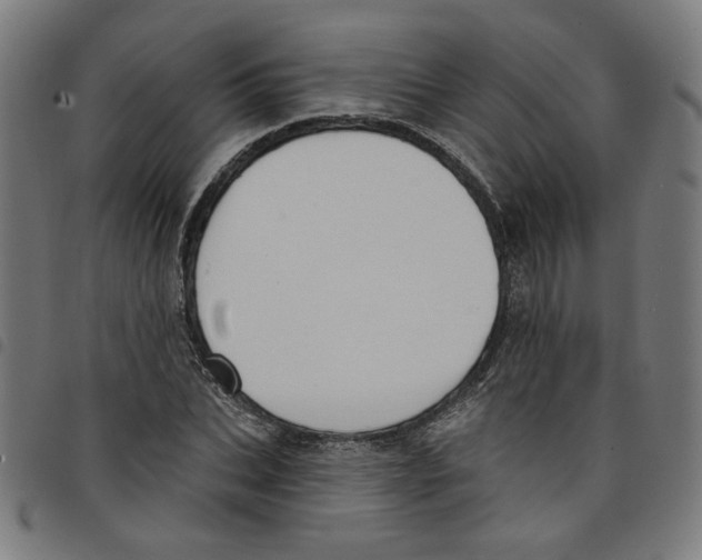 X0000098050927200804251100