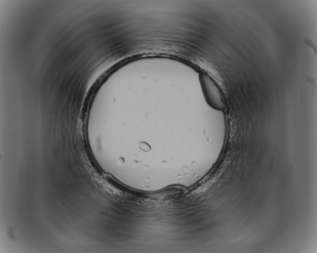 X0000098050928200804251100