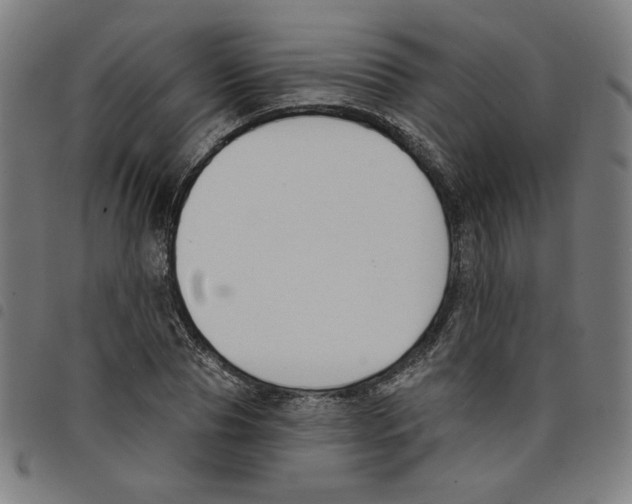 X0000098050929200804251100