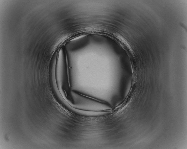 X0000098050930200804251100