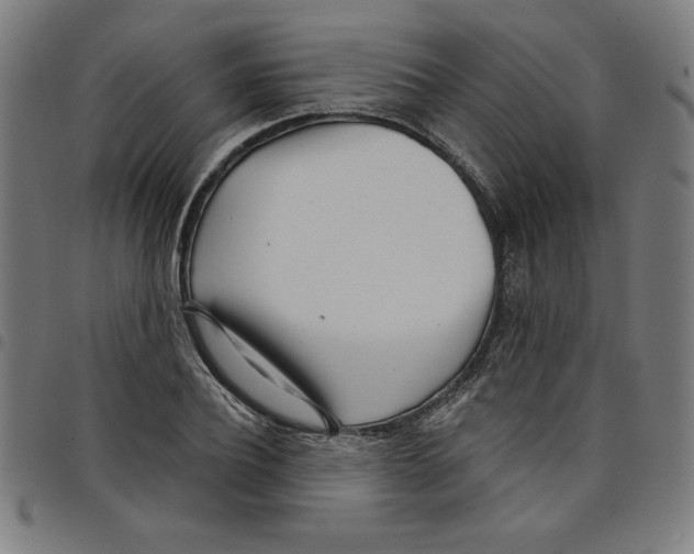 X0000098050932200804251100