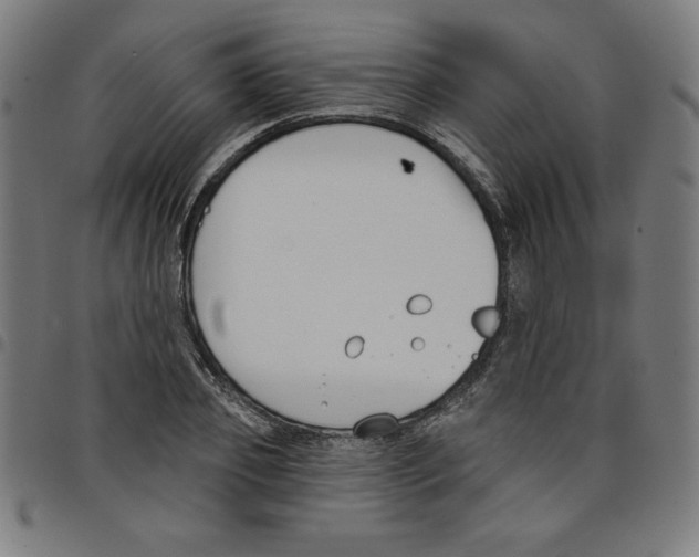 X0000098050933200804251100