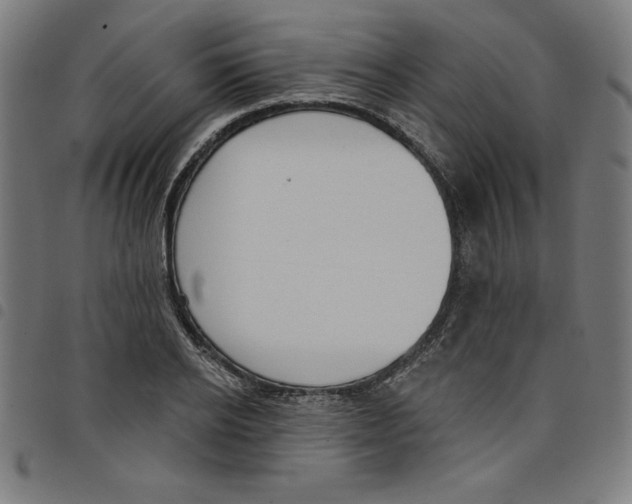 X0000098050934200804251100